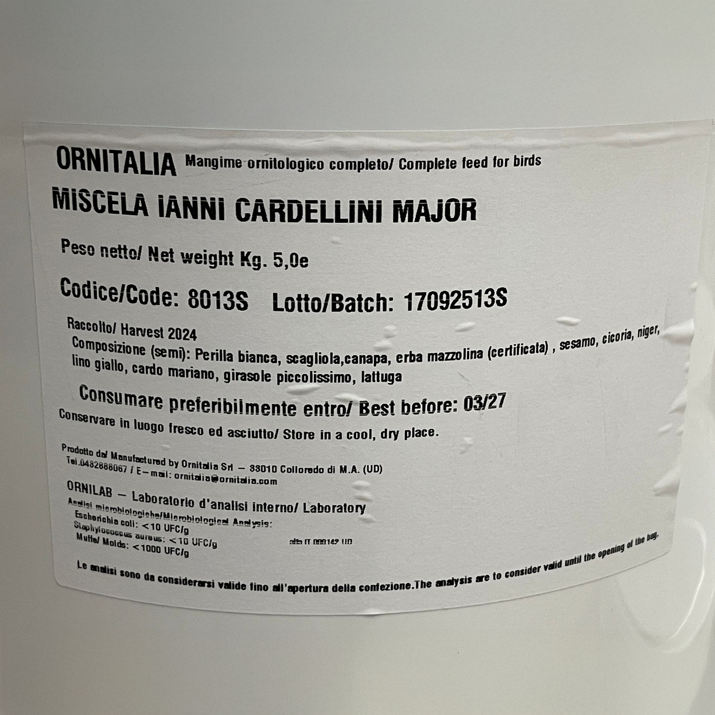 AVIARIO SUD ITALIA - CARDELLINI MAJOR