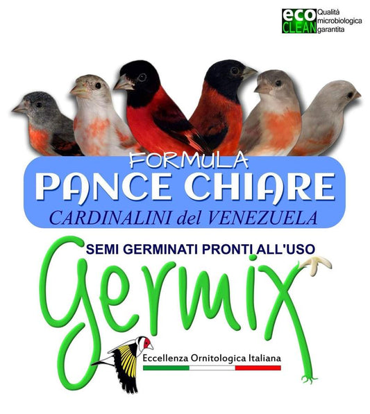 Germix Cardinalini Pance Chiare