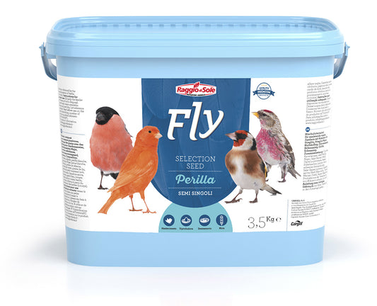 PERILLA – FLY SELECTION SEED