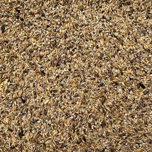 MISCELA GREG ORO LIGHT