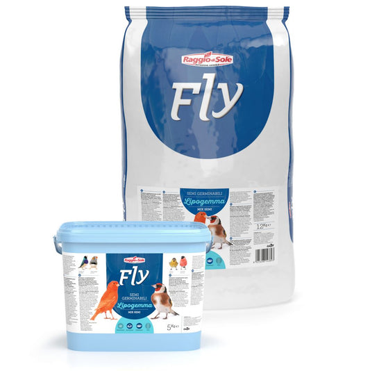 LIPOGEMMA – FLY EXTRA FLY