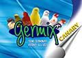 Germix Canary